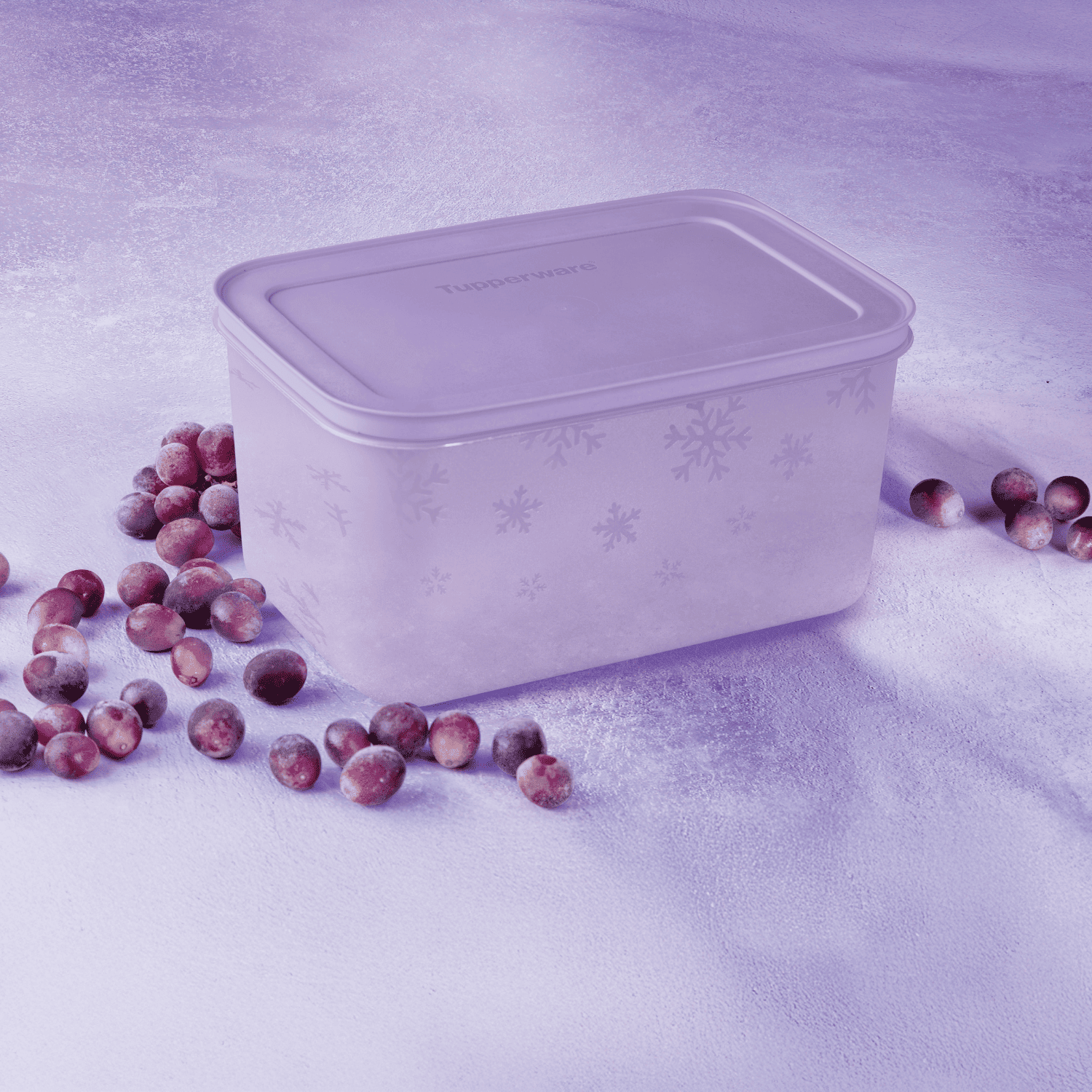 Freezer Line 2,5L Malva