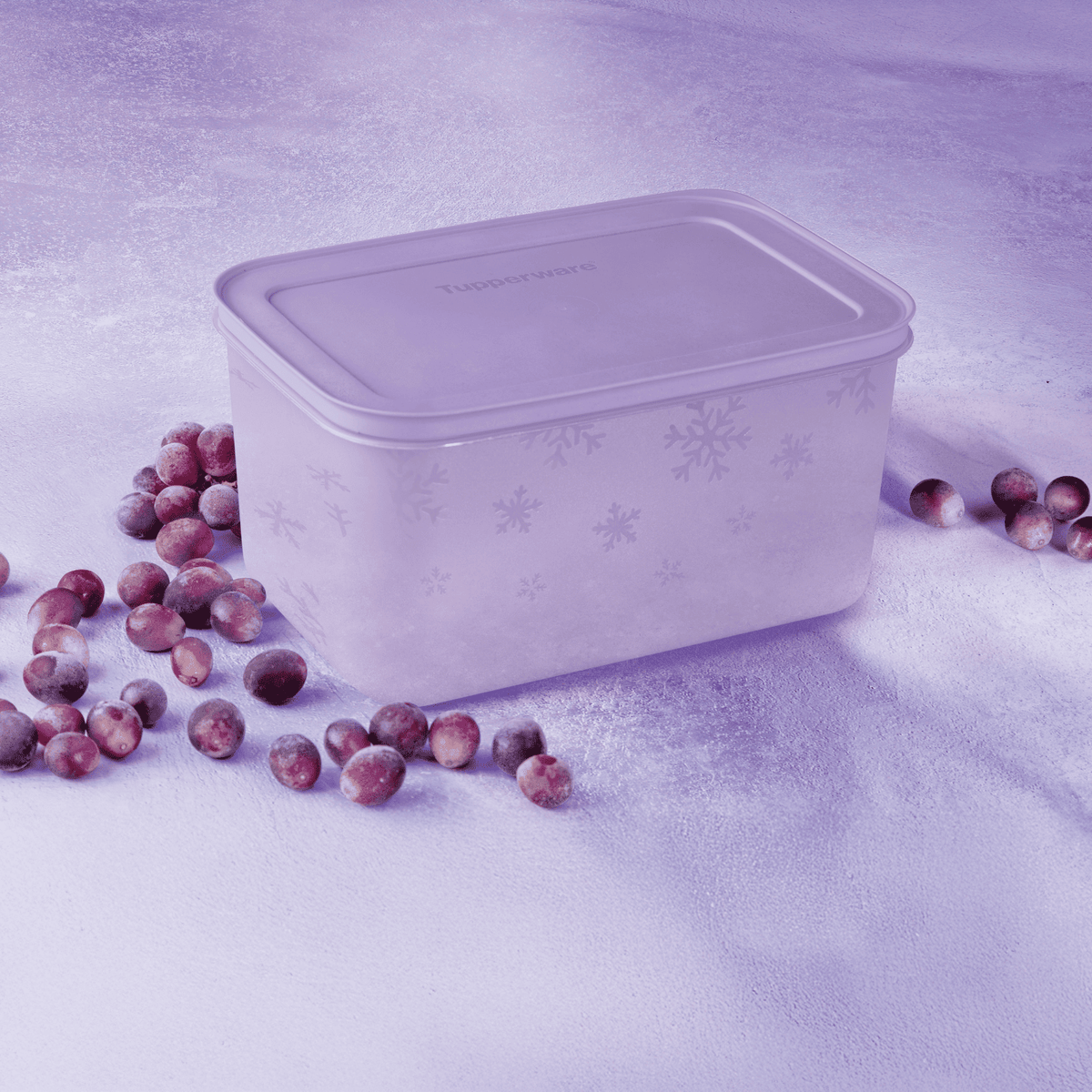 Freezer Line 2,5L Malva