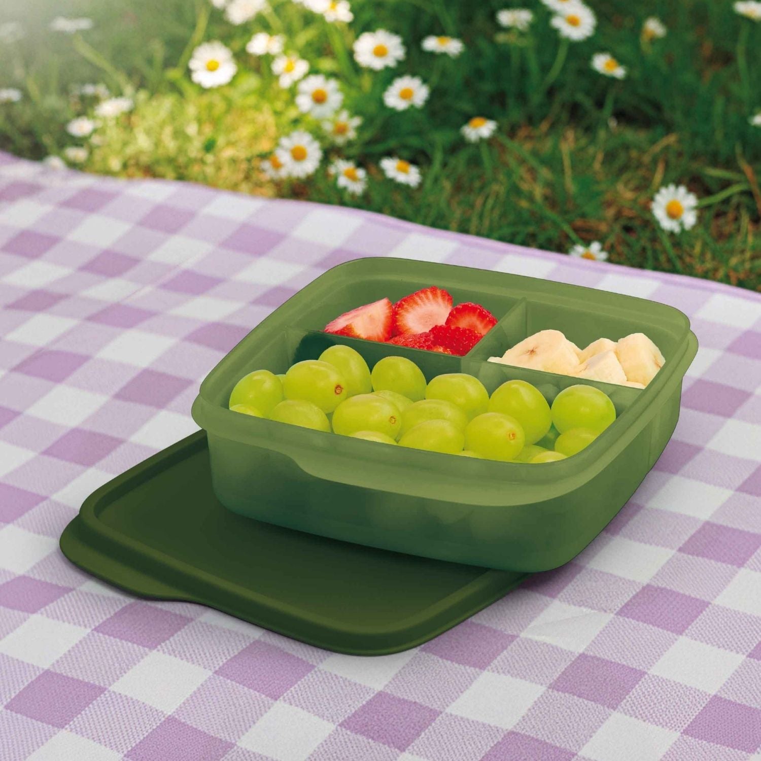 Basic Line Com Divisórias Bosque 550ml Bosque
