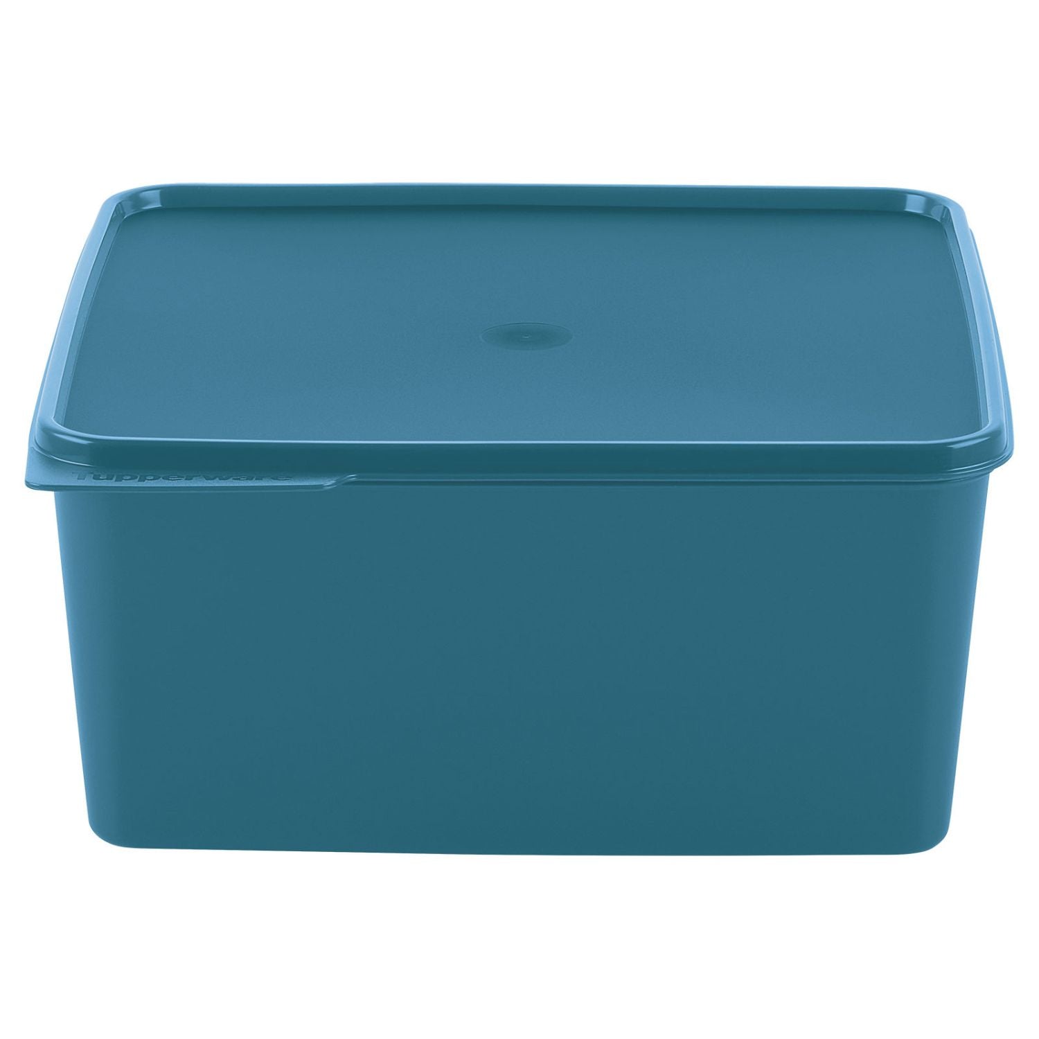 Pote Hermético Basic Line Tupperware 5L Turmalina