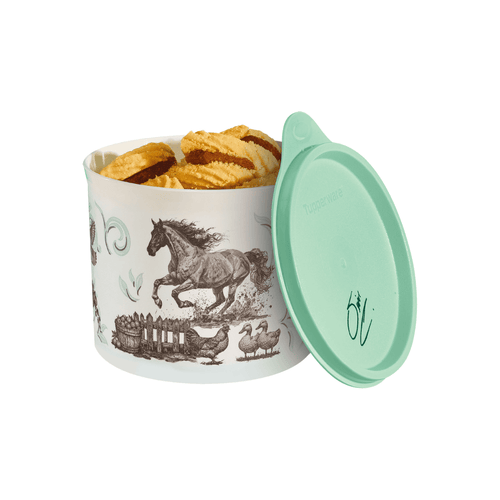 Tupper Redondinha Tupperware Simone Mendes Retorno Às Origens 500ml